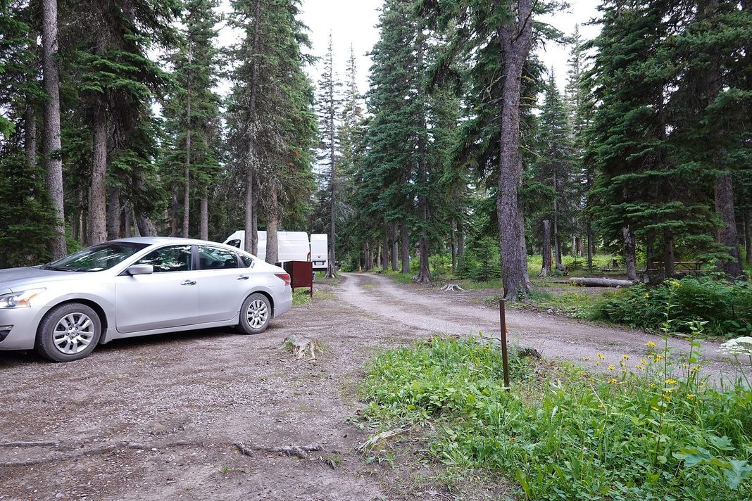 Bil og campingvogn på en grusvej mellem høje træer